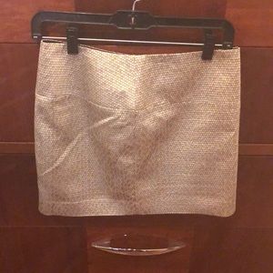 Metallic Mini Skirt from Express